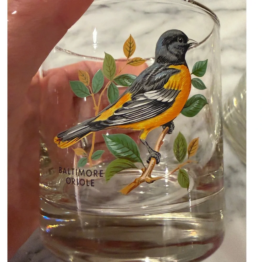 Vtg 70s MCM West Virginia Glass American Songbirds 2 Glasses Oriole Tanager